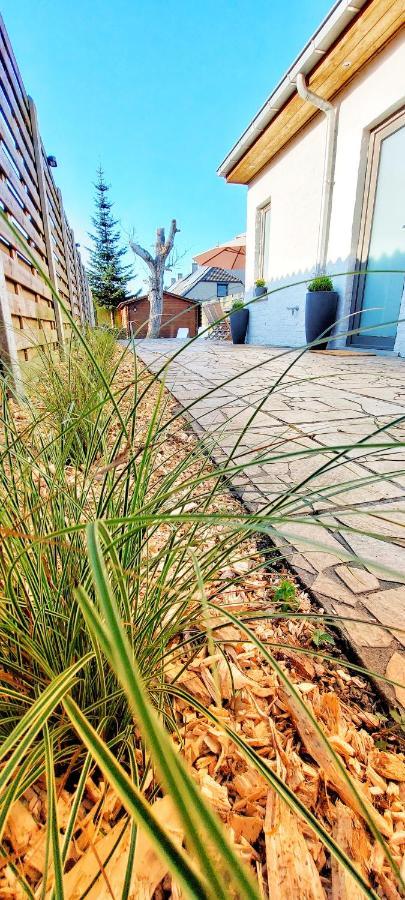 Huize Andries Villa Brugge Ngoại thất bức ảnh